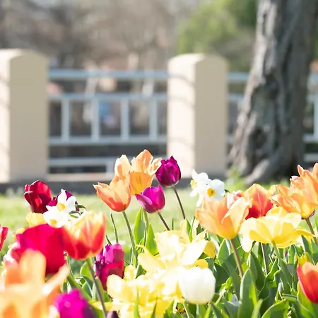 Apartamento évasions-échappée, Centre-ville, Gare