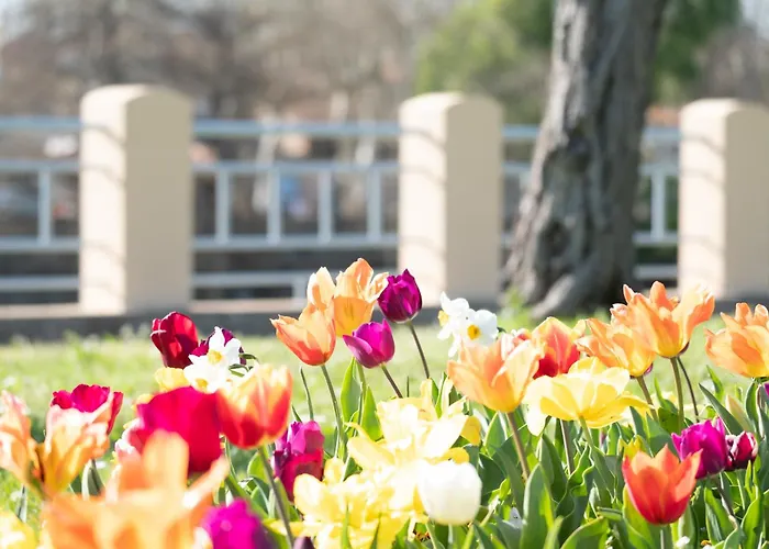 Apartamento évasions-échappée, Centre-ville, Gare